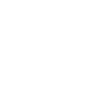 Icon Euro