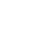 Icon LKW
