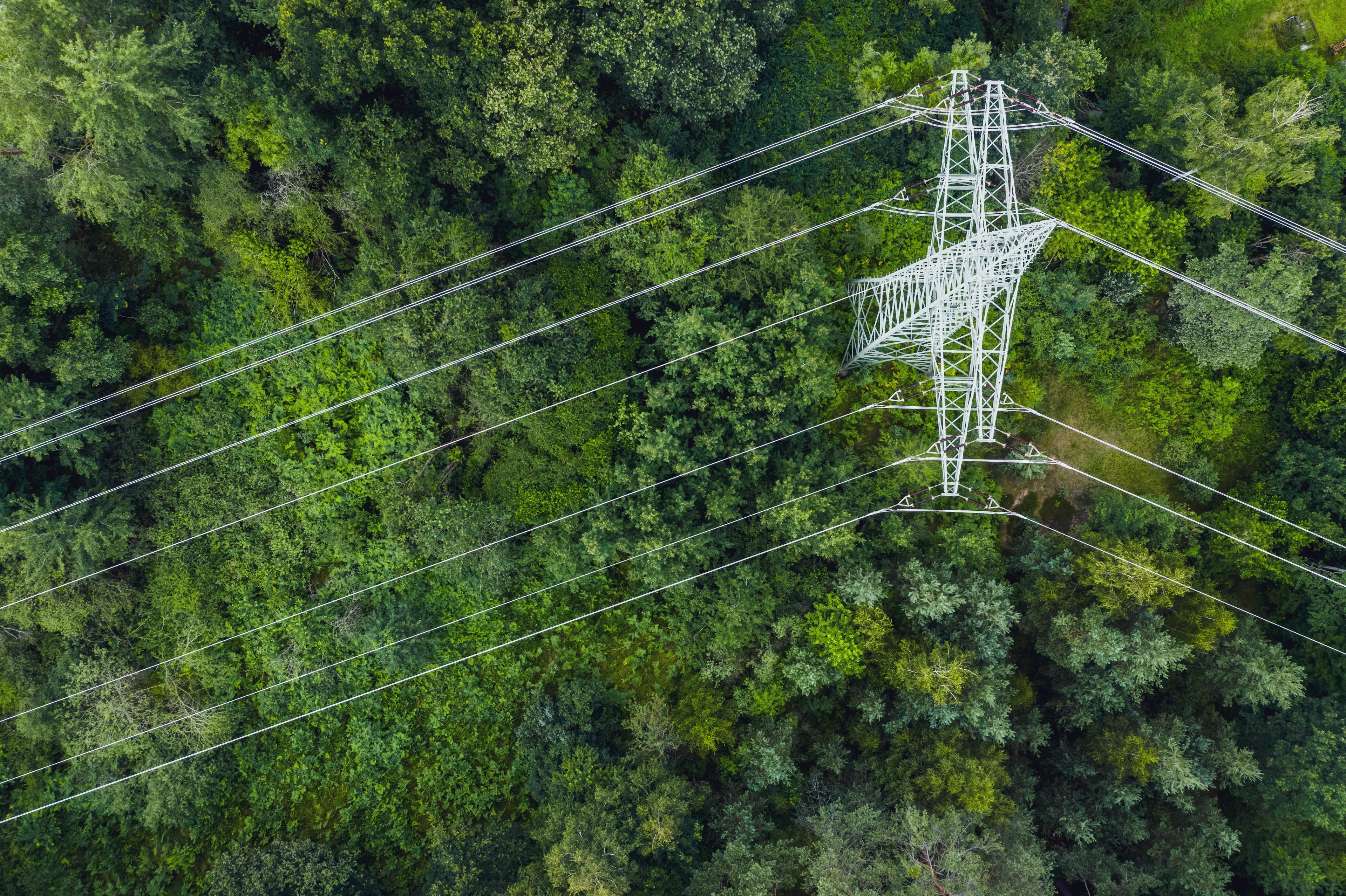 Ein Strommast im Wald aus Vogelperspektive.