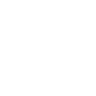 Icon Europa