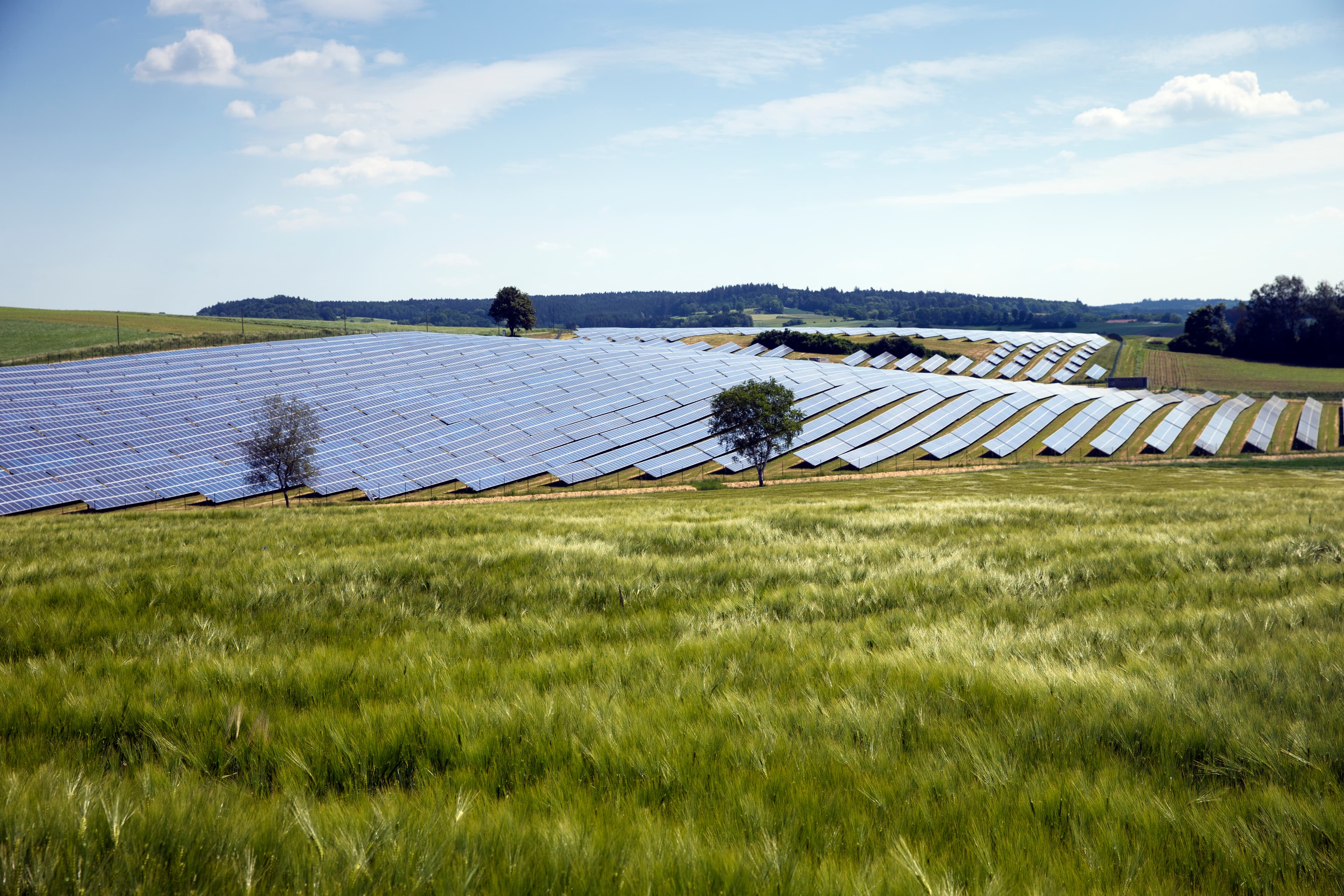 Ein Solarfeld inmitten grüner Wiesen und Wälder.