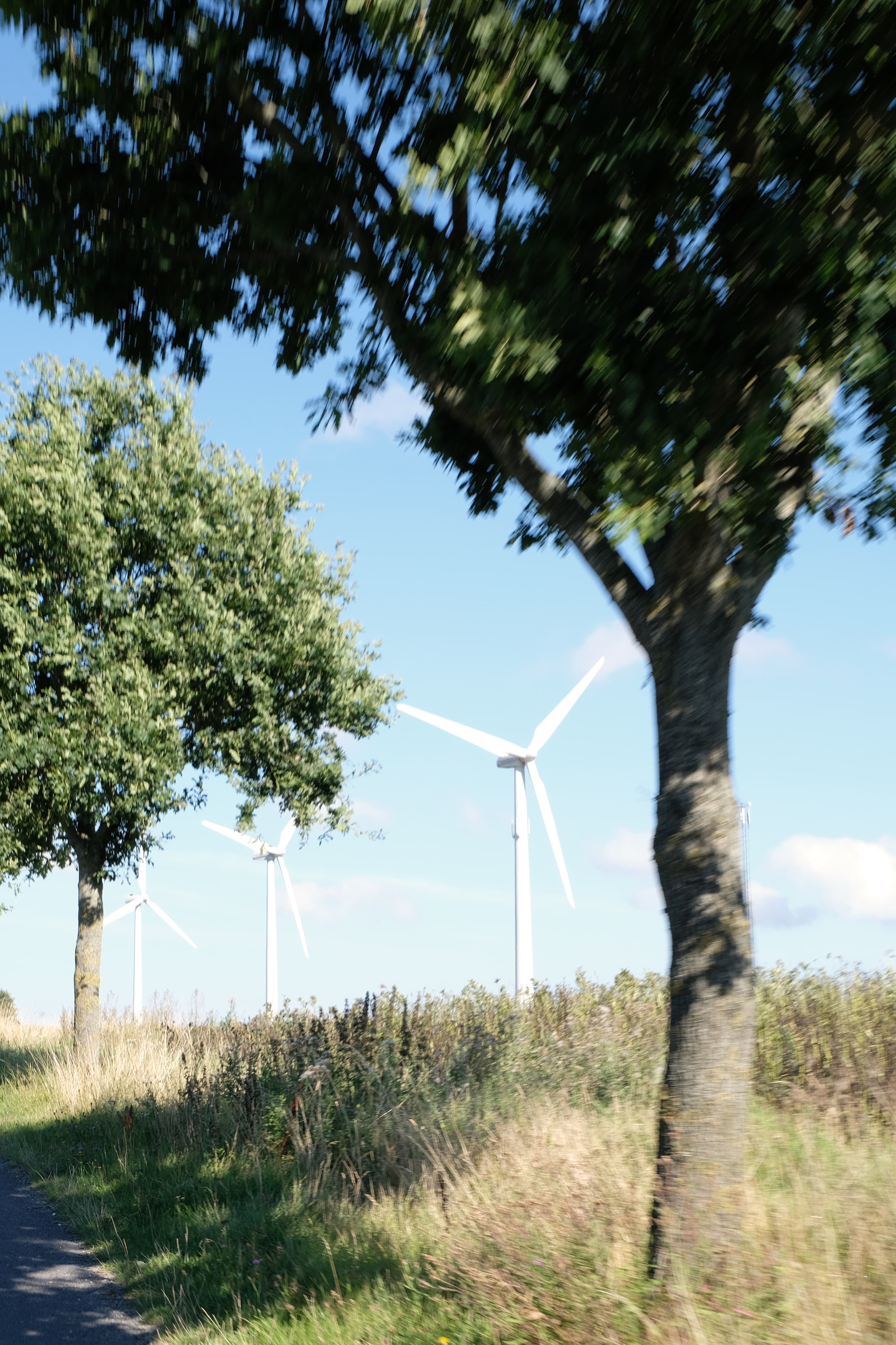 Drei Windräder am Rande einer Allee beim Vorbeifahren fotografiert.