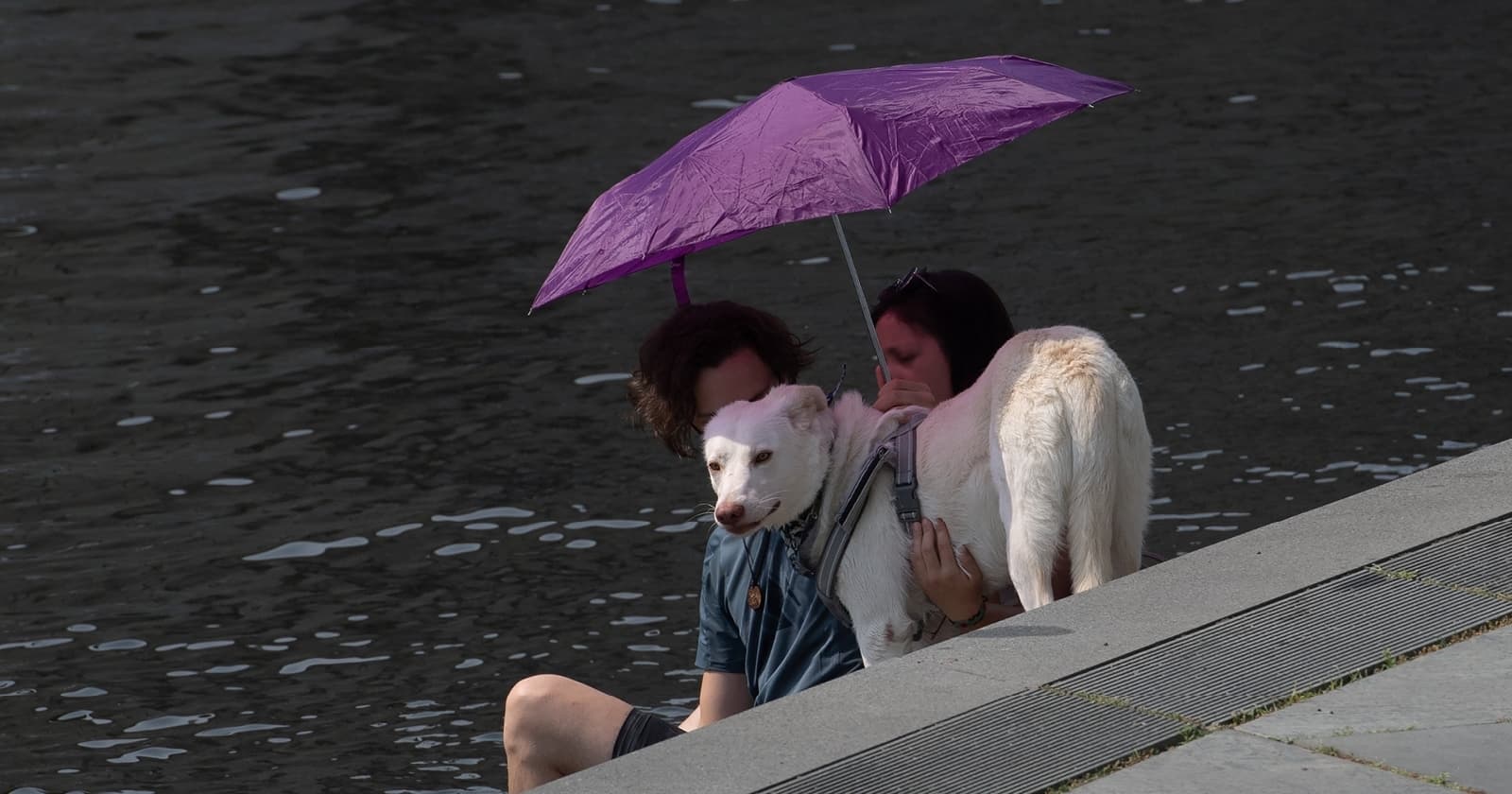 Zwei junge Menschen jitzen am Wasser auf Betonstufen. Vor ihnen steht ein weißer HUnd, den sie mit einem lilanen Regenschirm vor der Sonne schützen.