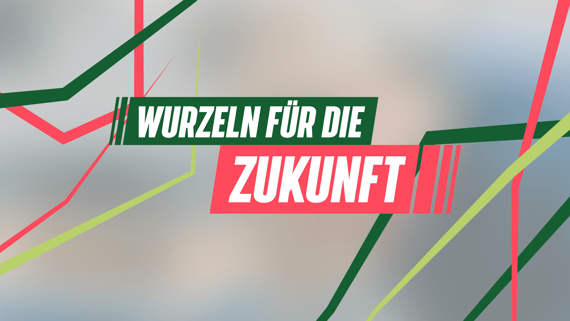 Text "Wurzeln für die Zukunft" auf stark "geblurrtem" Hintergrund - dazu gezeichnete Wurzeln in hellgrün, dunkelgrün und Magenta.