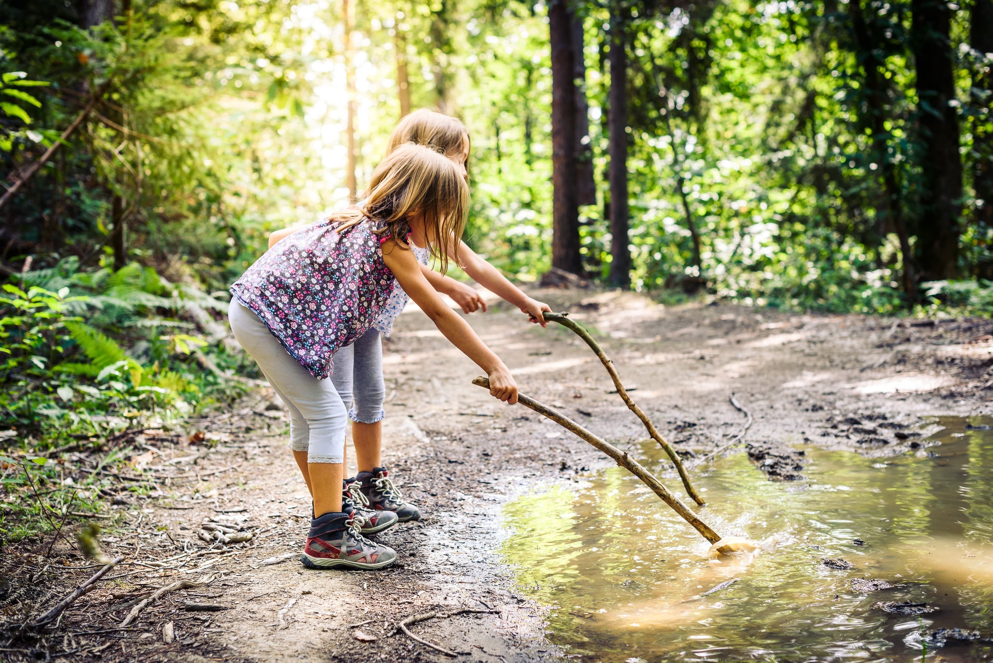 Kinder spielen im Wald