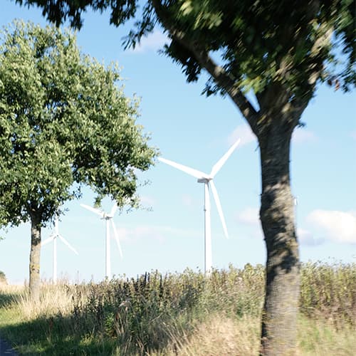 Sven Giegold BÜNDNIS 90/DIE GRÜNEN