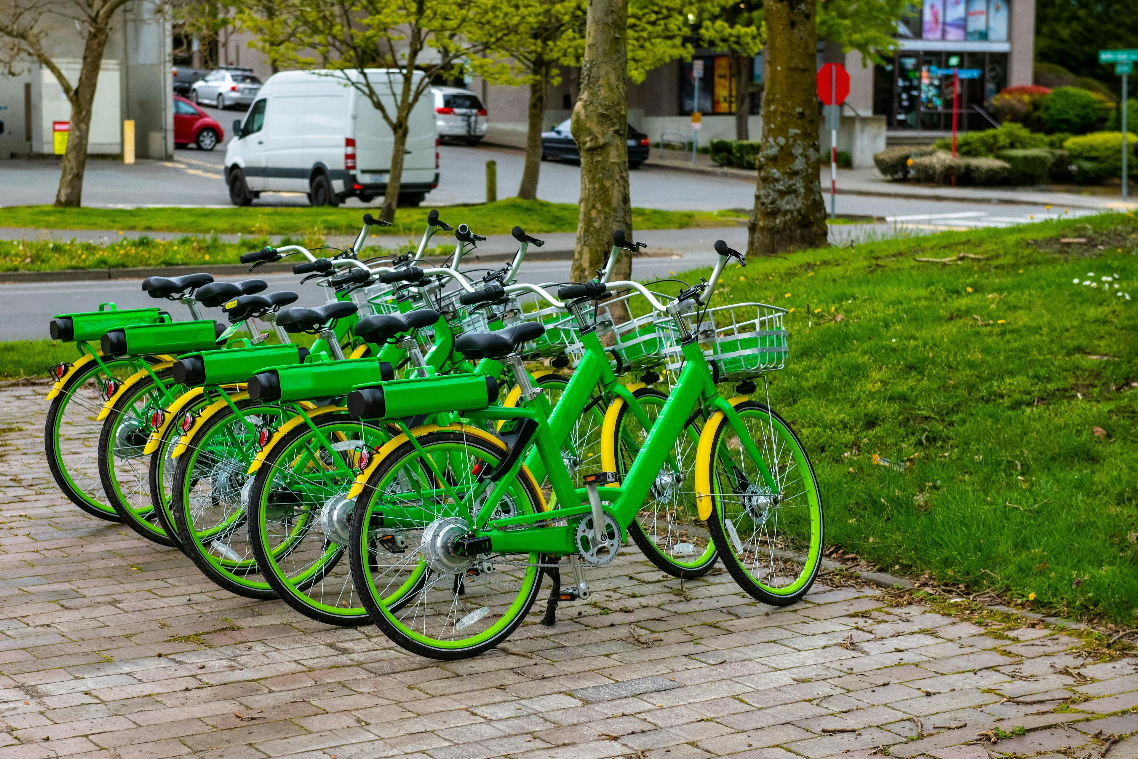 Grüne Fahrräder stehen nebeneinander vor einer Wiese in der Stadt.