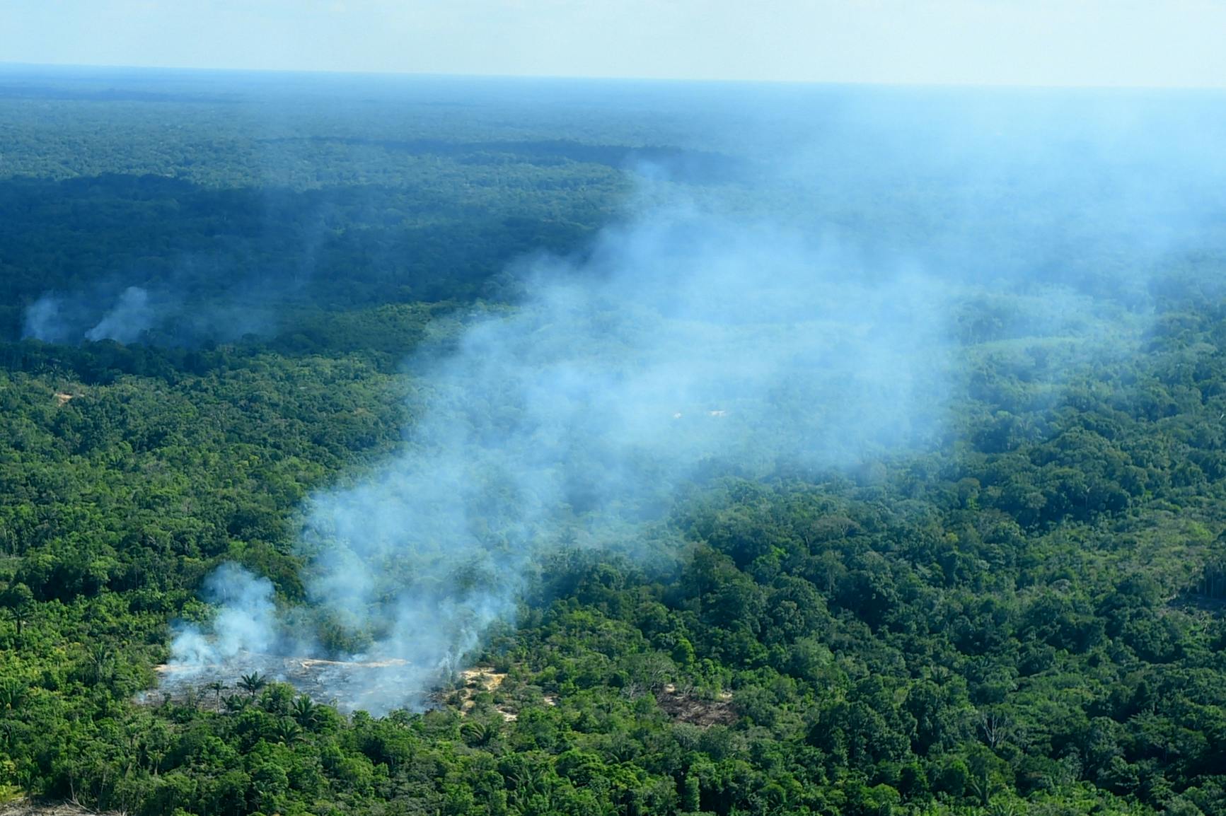 Eine Luftaufnahme vom Amazonas. Große Teile des Waldes brennen und Rauch steigt auf.