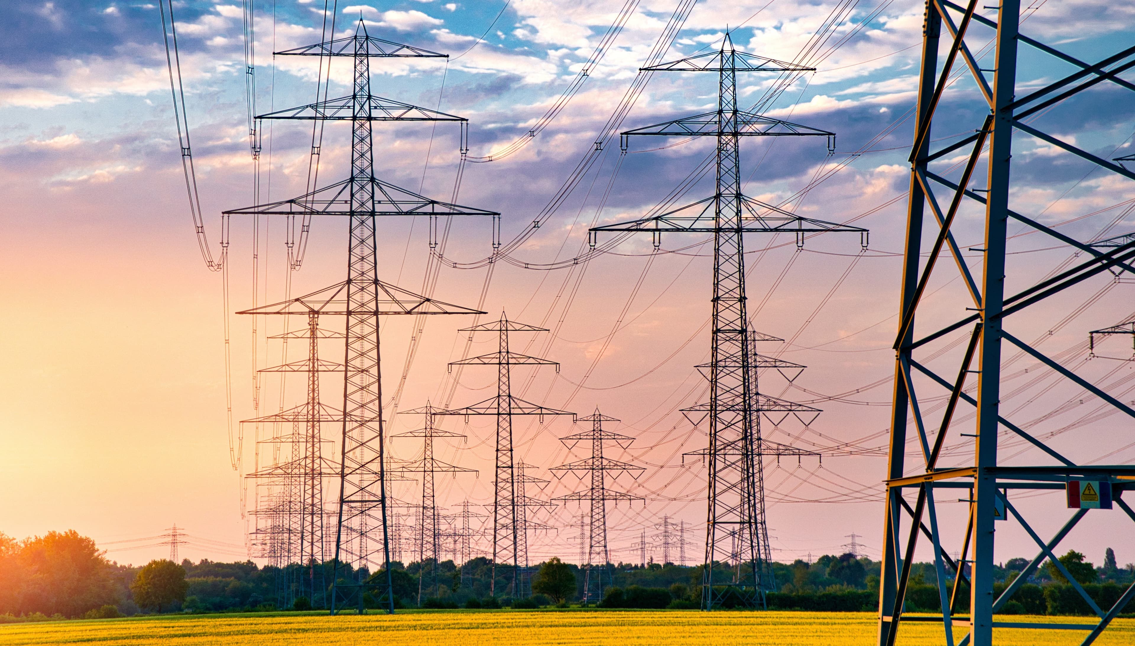 Rapsfeld, auf dem Strommasten stehen. Im Hintergrund ein vom Sonnenuntergang gefärbter Himmel.