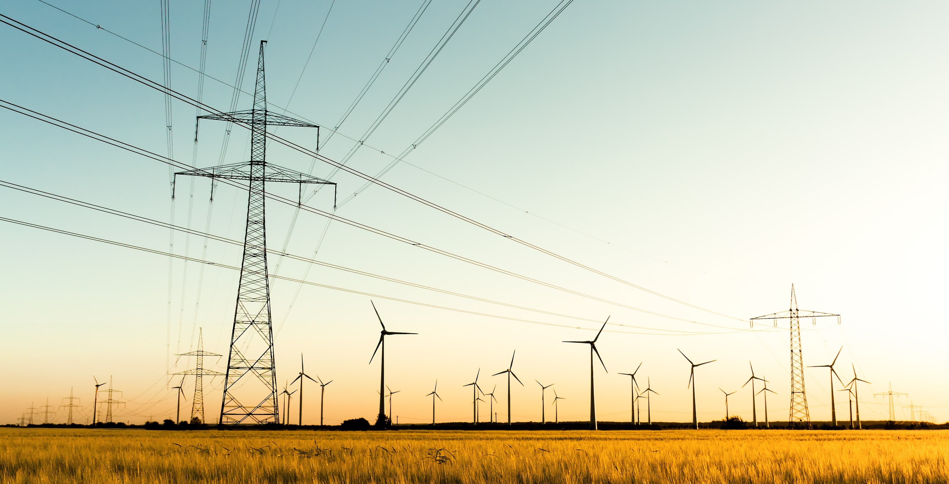 Strommasten und Windräder auf einem Feld