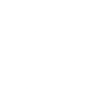 Icon 55