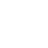 Icon 55