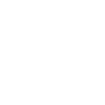 Icon CO2