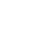 Icon Pinsel