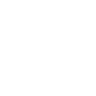 Icon Plastik