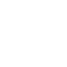 Icon Rettungsring