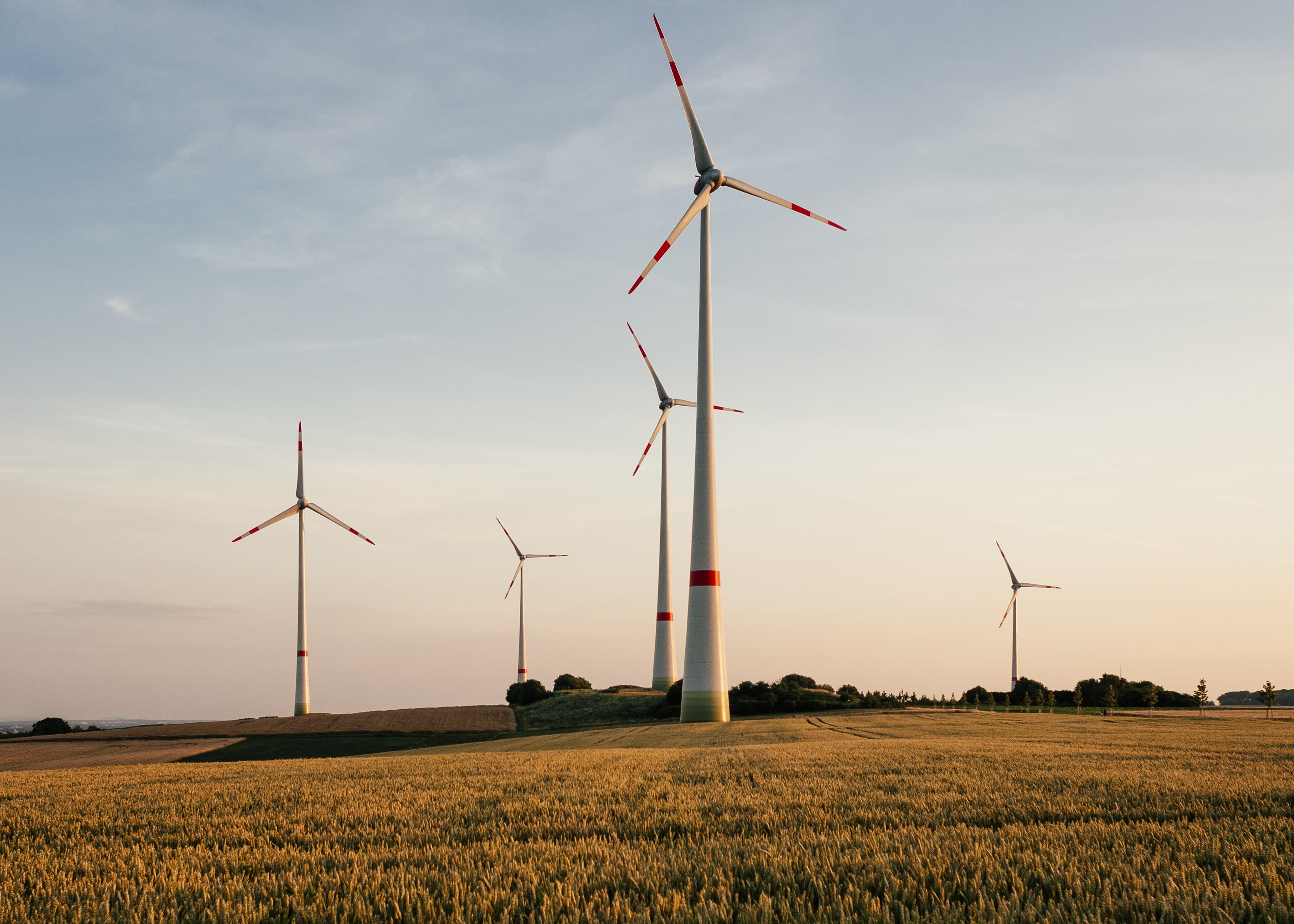 Windräder auf einer Wiese.