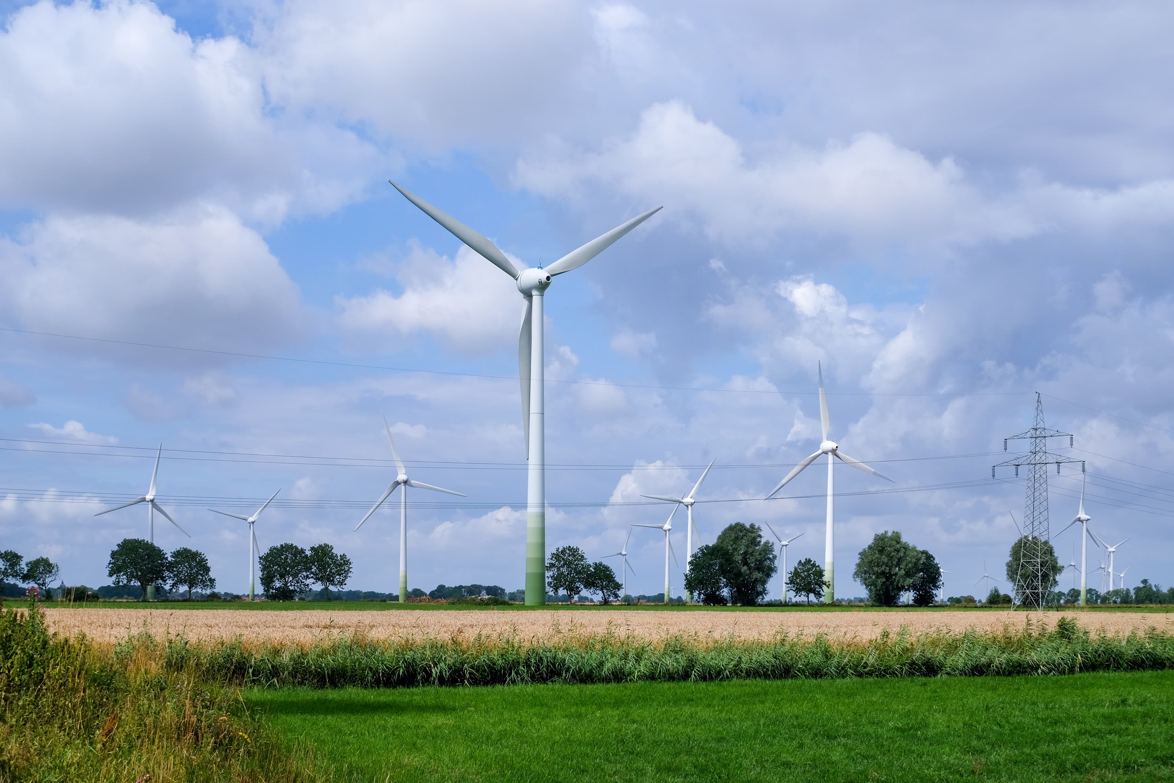 Mehrere Windraeder stehen auf einem Feld.