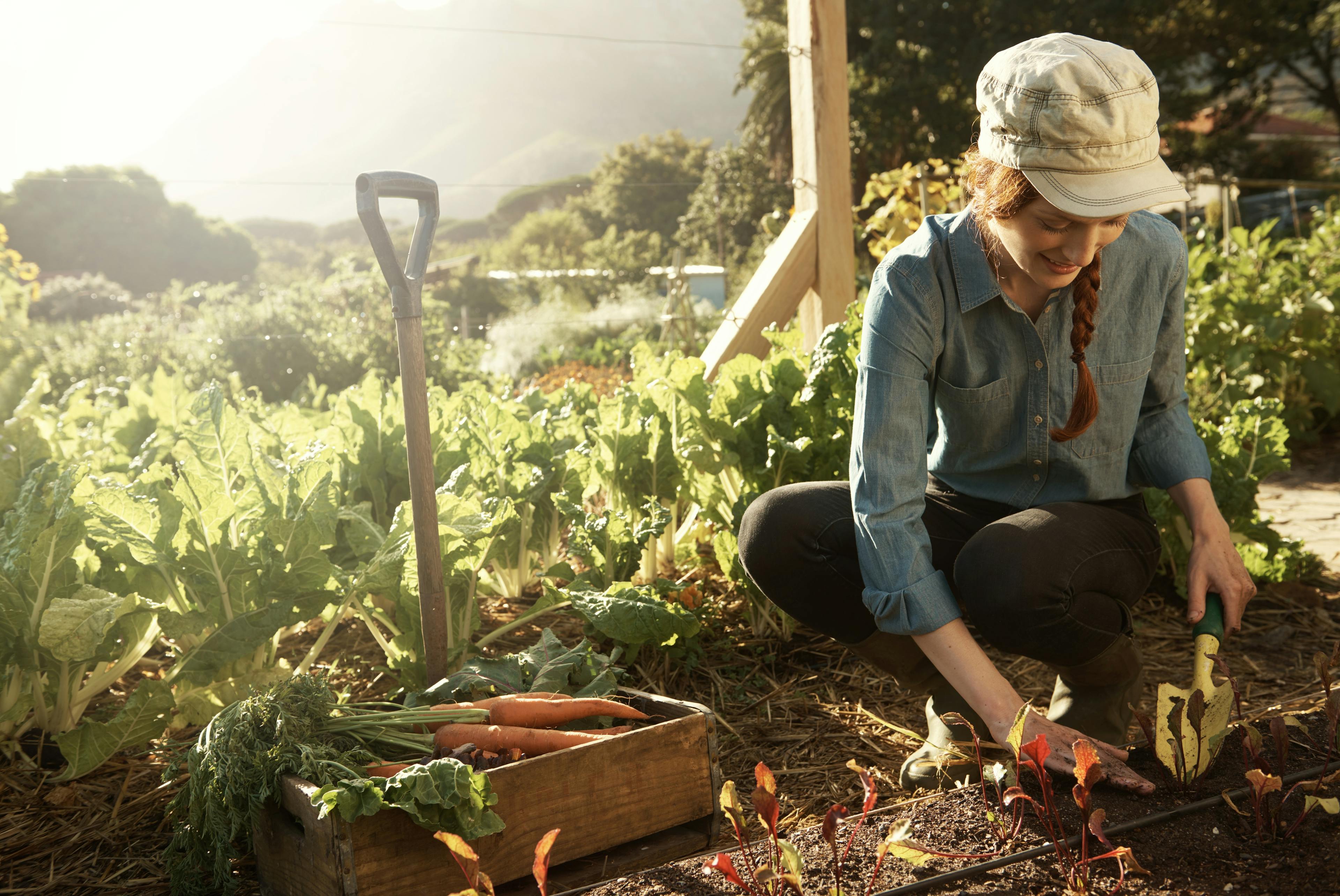 Eine Frau gärtnert und pflanzt dabei kleine Setzlinge ein. Im Hintergrund sieht man den Garten und das bepfanzte  Beet.