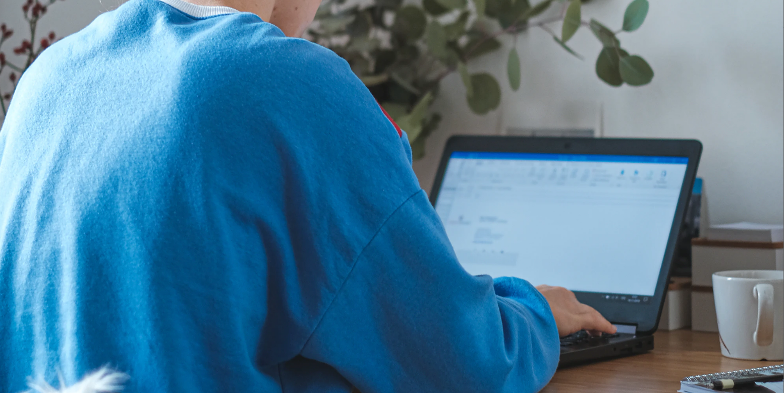 Person in blauem Pulli sitzt mit dem Rücken zur Kamera an einem Schrebtisch vor einem Laptop. Im Hintergrund sieht man eine Pflanze.
