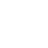 Icon Pille