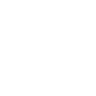 Icon Schwein