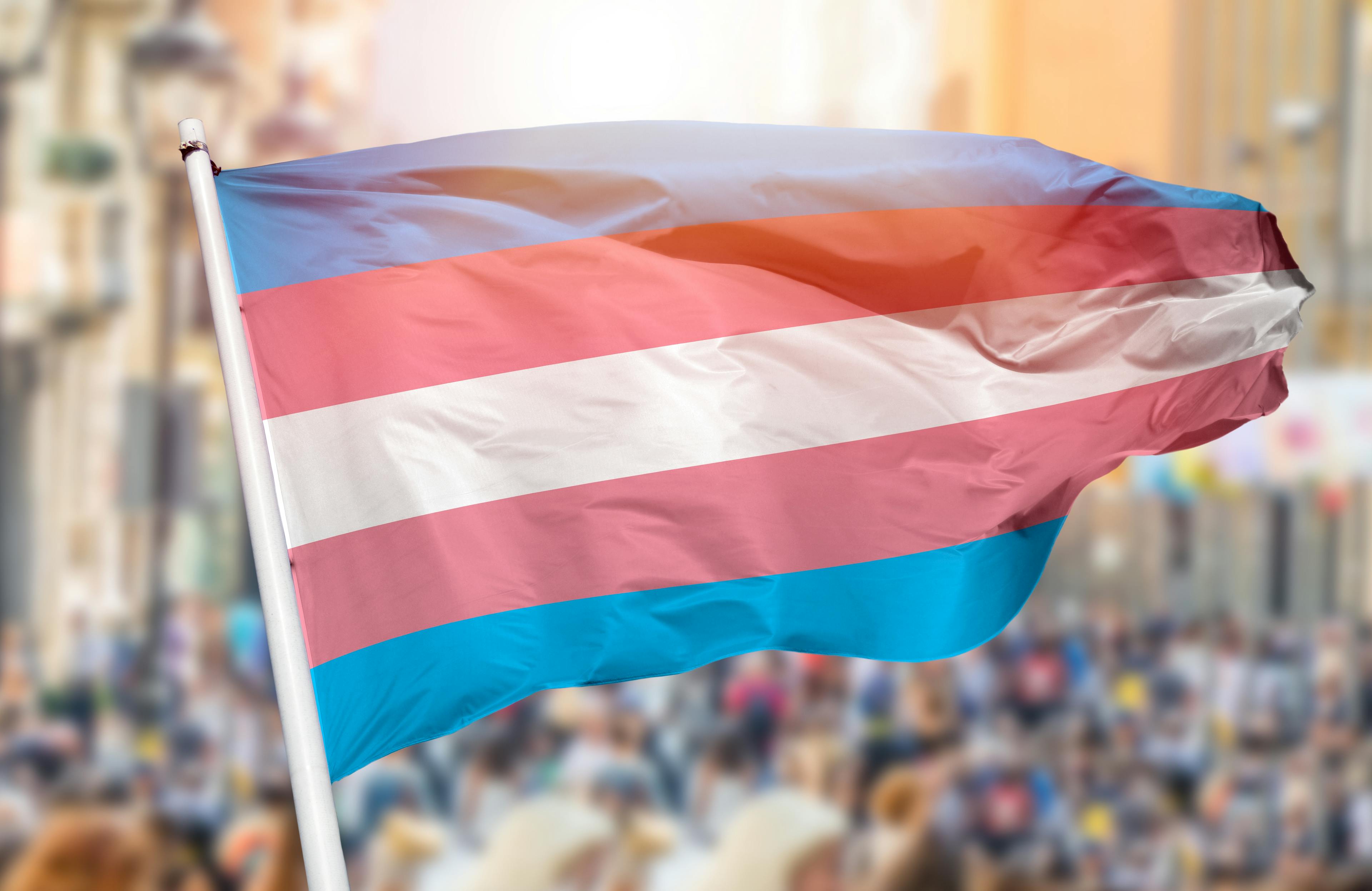Eine trans Flagge über einer Menschenmenge.